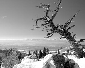 Bogus Basin Summit