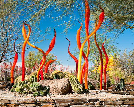 Dale Chihuly Art Glass Exhibit, Desert Botanical Garden, Phoenix, Arizona