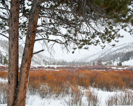 Teton Valley in Winter