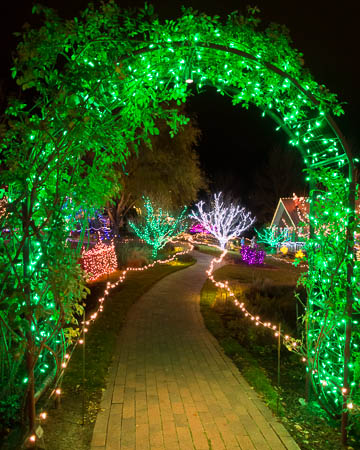 Winter Garden Aglow
