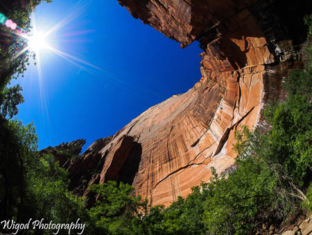 Zion Canyon