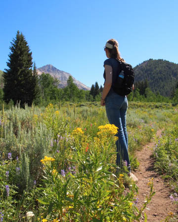 Hyndman Creek Meadow
